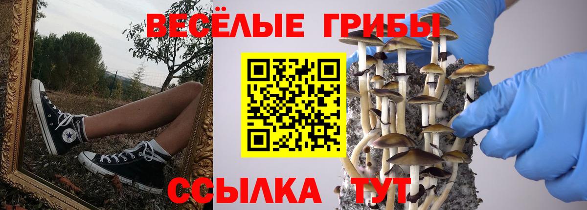 Галлюциногенные грибы прущие грибы Коломна